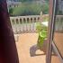 Apartmani Milovanovic , Privatunterkunft im Ort Dobre Vode, Montenegro - IMG-26cf55bdecd3be4082452f9f058b915f-V Apartmani Milovanovic , Privatunterkunft im Ort Dobre Vode, Montenegro - IMG-26cf55bdecd3be4082452f9f058b915f-V