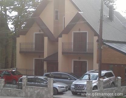 Appartements Villa de montagne, logement privé à Žabljak, Mont&eacute;n&eacute;gro