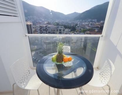 Albatros apartmani, Albatros jednosobni apartman Lazi, privatni smeštaj u mestu Budva, Crna Gora