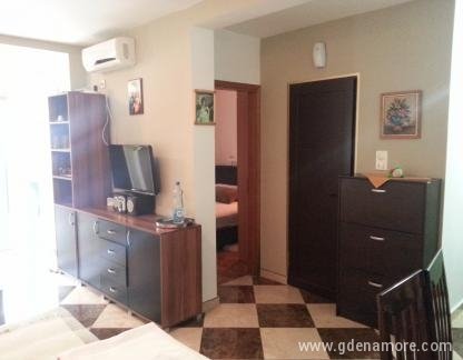 Oliveraie, logement privé à Rafailovići, Mont&eacute;n&eacute;gro - Apartman Maslinjak