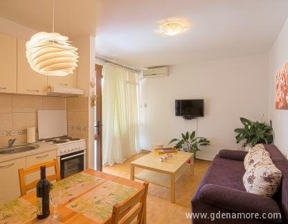 Apartment Srdanovic, private accommodation in city Budva, Montenegro - I64A8295