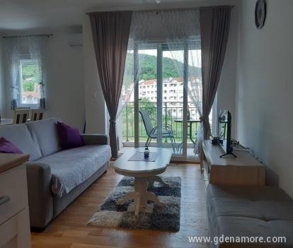 Apartment Pavle, private accommodation in city Bijela, Montenegro