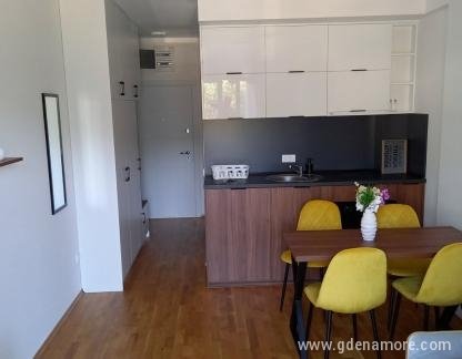 Apartments Macic, private accommodation in city Budva, Montenegro - 1