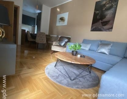 Apartment Tivat, private accommodation in city Tivat, Montenegro - 416B08C2-272B-458A-B130-DEE447236A94_RDT6TsuD6a