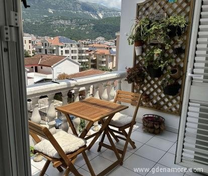 Apartman Mimi, ενοικιαζόμενα δωμάτια στο μέρος Budva, Montenegro