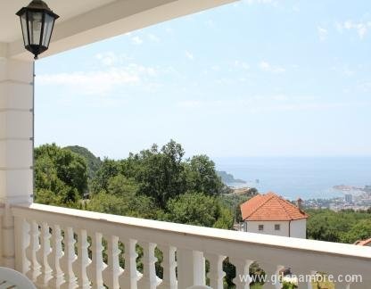 Villa Oasis Markovici, , private accommodation in city Budva, Montenegro - IMG_0355