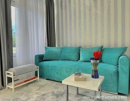 Apartmani Vujovic, , private accommodation in city Zelenika, Montenegro - IMG_1321