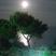 Villa Oasis, private accommodation in city Nea Potidea, Greece - full moon