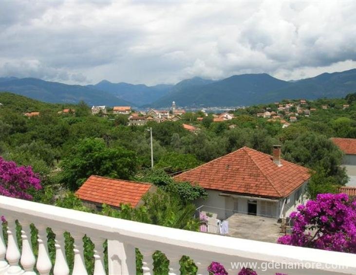 Pogled