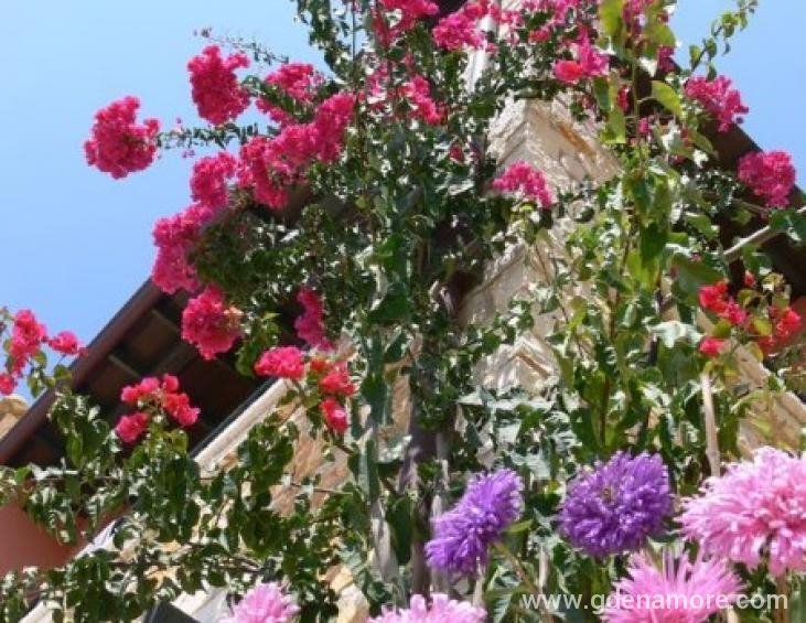 Vila Alkyion Luxury Resort