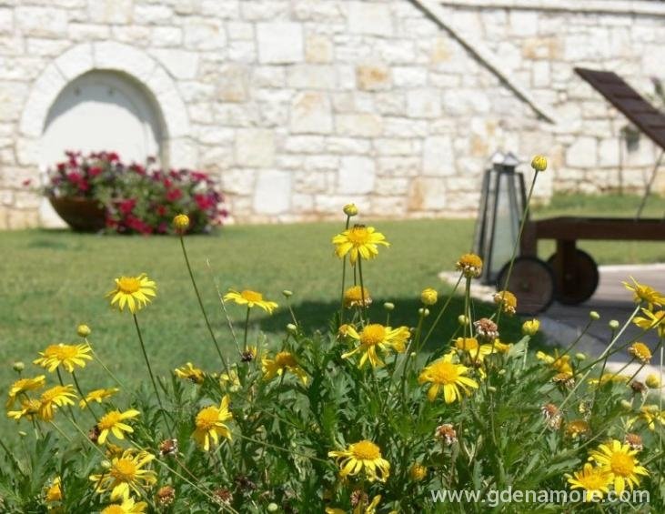 Vila Alkyion Luxury Resort