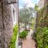 Villa Contessa, privatni smeštaj u mestu Budva, Crna Gora - DSC_2703