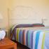 Dendrolivano Studios and Apartments, private accommodation in city Kefalonia, Greece - dendrolivano-studios-and-apartmens-minia-kefalonia