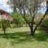 Dendrolivano Studios and Apartments, private accommodation in city Kefalonia, Greece - dendrolivano-studios-and-apartmens-minia-kefalonia