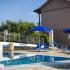 Olive Grove Studios and Apartment, private accommodation in city Kefalonia, Greece - olive-grove-studios-and-apartments-svoronata-kefal