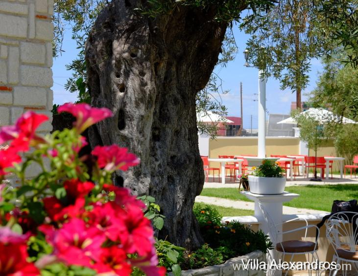 alexandros-maissonetes-polychrono-kassandra-5