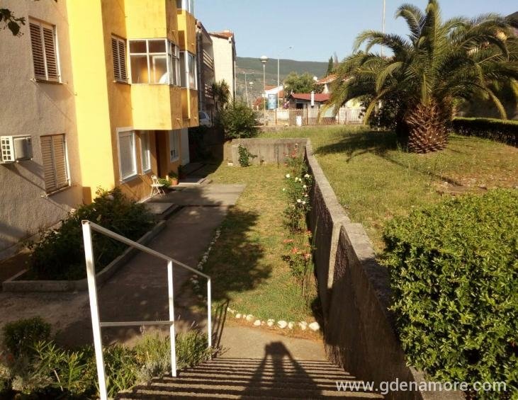IMG-ac5f0cd5ad4f3cb39fd3f063e7716a78-V