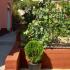 Holiday home Orange , privatni smeštaj u mestu Utjeha, Crna Gora - A1F41066-2F2B-43EC-A3F1-71092BA64B8B