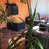 Holiday home Orange , privatni smeštaj u mestu Utjeha, Crna Gora - E5126FB4-0D24-4B4D-A43F-BDCC896FE416