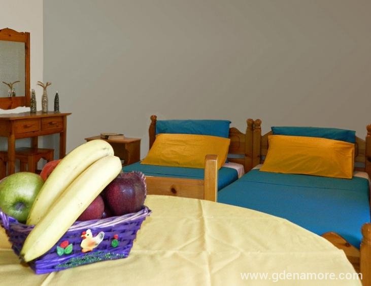 anemos-apartments-poros-kefalonia-3-bed-studio-4