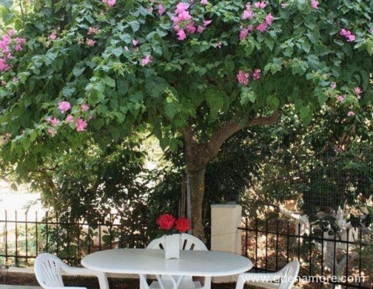 captain-georgio-apartments-poros-kefalonia-6