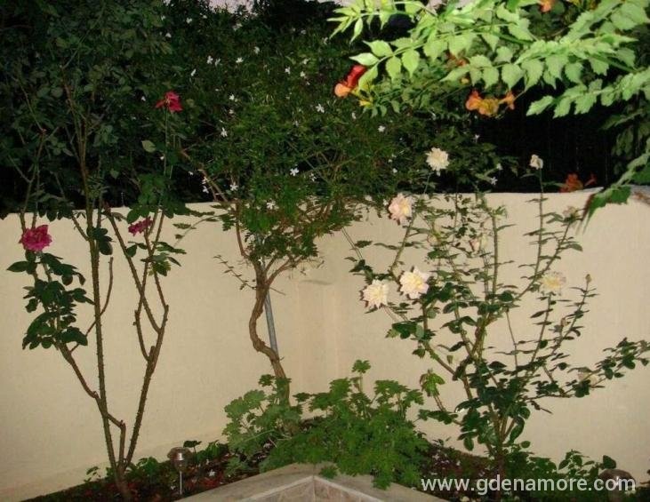 captain-georgio-apartments-poros-kefalonia-7