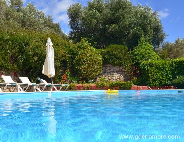 dendrolivano-studios-and-apartmens-minia-kefalonia
