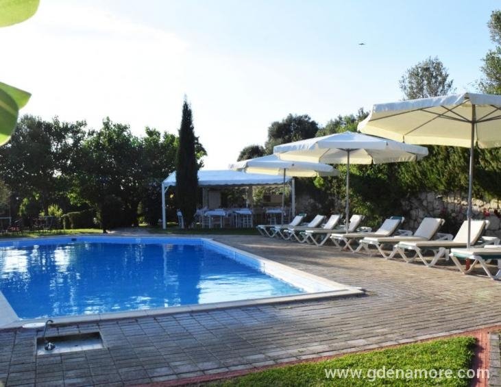 dendrolivano-studios-and-apartmens-minia-kefalonia