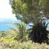 Estudios Despina, alojamiento privado en Lassii, Grecia - despina-studios-lassi-kefalonia-3