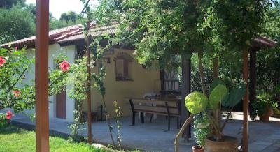 Joanna's Studios, private accommodation in city Lassii, Greece