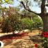 Saint Andrews villaer, privat innkvartering i sted Pelion, Hellas - saint-andrews-villas-milina-pelion-9