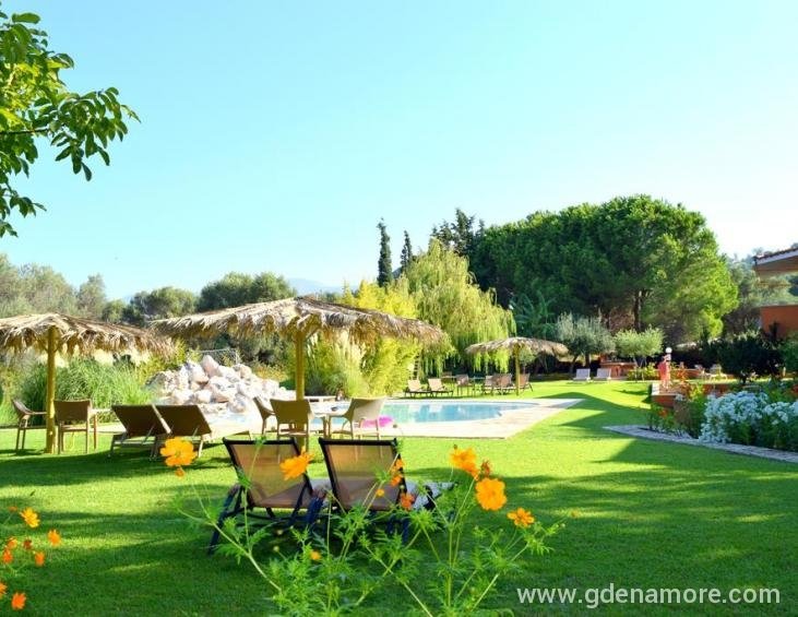 simatos-apartments-lassi-kefalonia-1