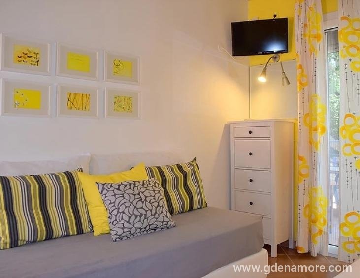 simatos-apartments-lassi-kefalonia-apartment-4-5