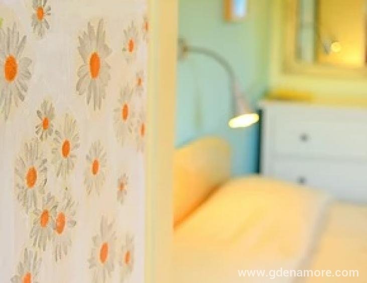 simatos-apartments-lassi-kefalonia-standard-studio