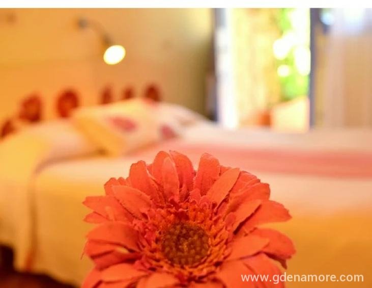 simatos-apartments-lassi-kefalonia-standard-studio