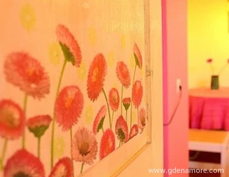 simatos-apartments-lassi-kefalonia-standard-studio