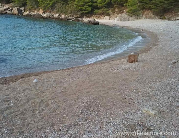 viber_image_2020-01-29_22-32-414