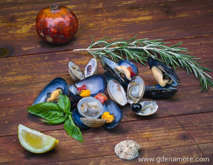 DRAGAN2333midii-&amp;amp;amp;amp;amp;amp;amp;amp;a