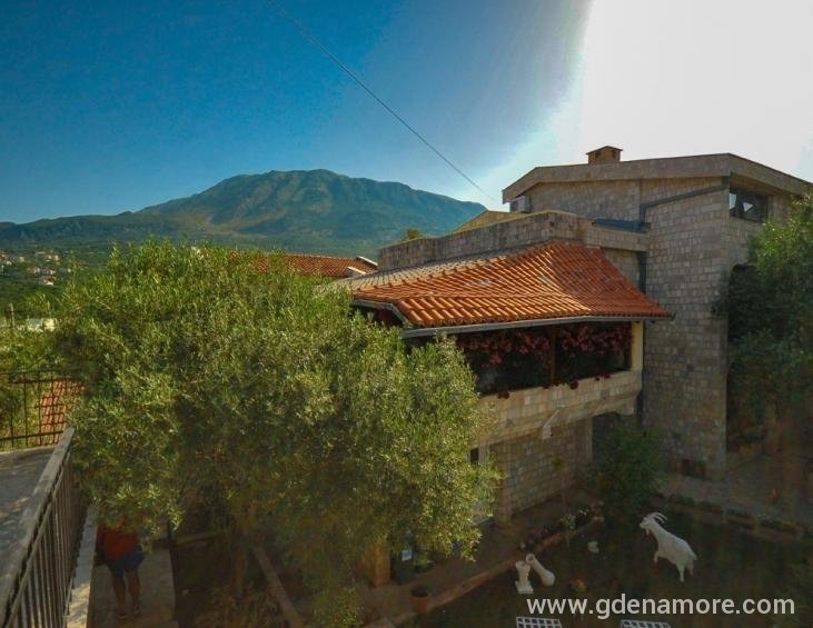 Villa Flamingo