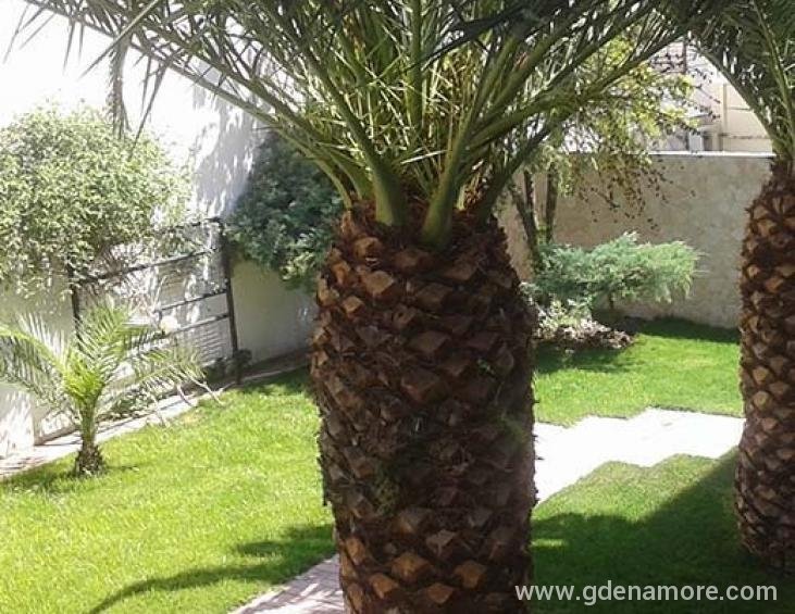 petrakis-apartments-hanioti-kassandra-1