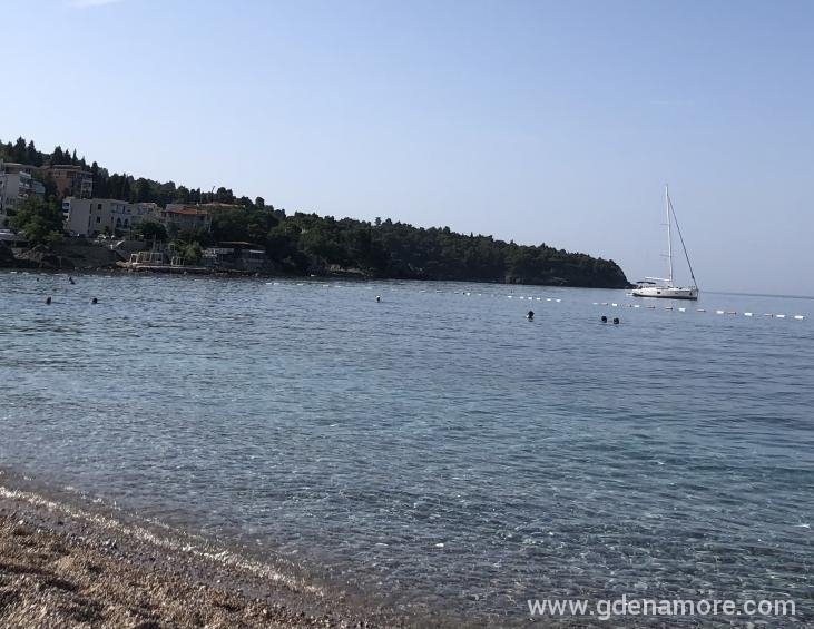 IMG_1416 (1)