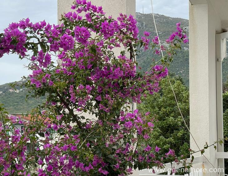 2def7744-6d6b-4143-9caf-8ea39968f687