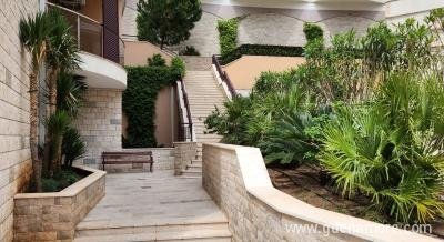 Apartman Cesarica, Magán szállás a községben Bečići, Montenegró