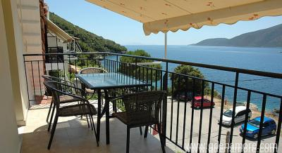 Ermioni St&uacute;di&oacute;k, Mag&aacute;n sz&aacute;ll&aacute;s a k&ouml;zs&eacute;gben Vasiliki, G&ouml;r&ouml;gorsz&aacute;g