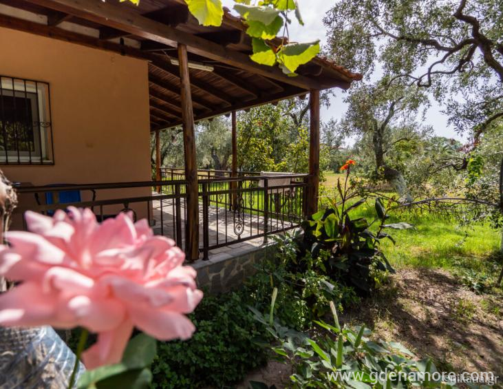 marias-and-vasilis-house-skala-rachoni-thassos-48