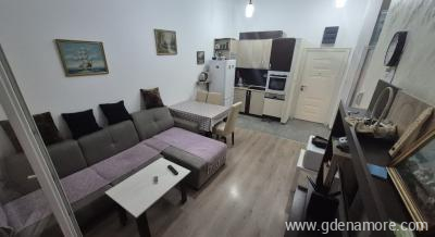 Egy h&aacute;l&oacute;szob&aacute;s apartman Budv&aacute;ban, Mag&aacute;n sz&aacute;ll&aacute;s a k&ouml;zs&eacute;gben Budva, Montenegr&oacute;