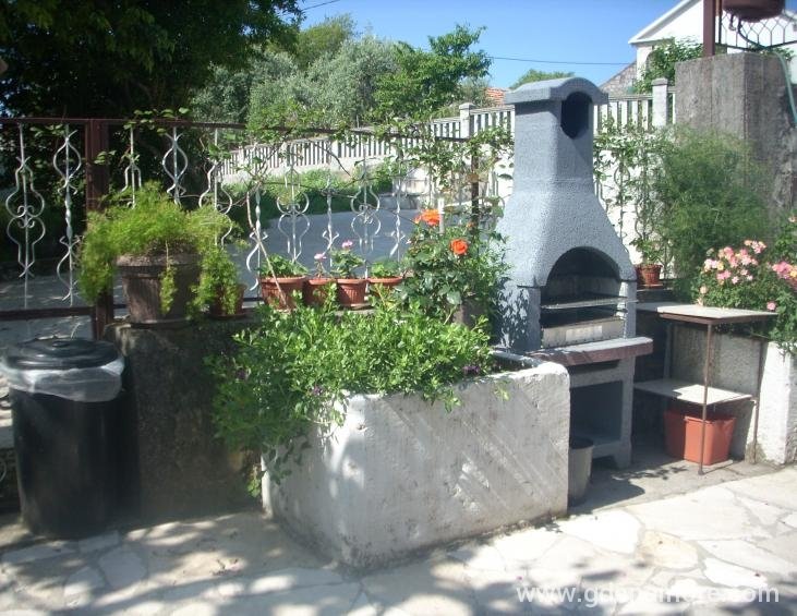 Ro&amp;amp;amp;amp;amp;scaron;tilj u dvori&amp;amp