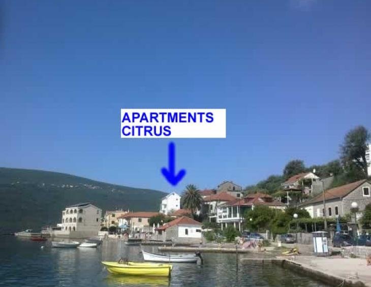 Pogled na apartmane Citrus