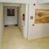 Apartmani MEB, , Privatunterkunft im Ort Dobre Vode, Montenegro