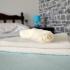 Villa Luna Risan, , Privatunterkunft im Ort Risan, Montenegro